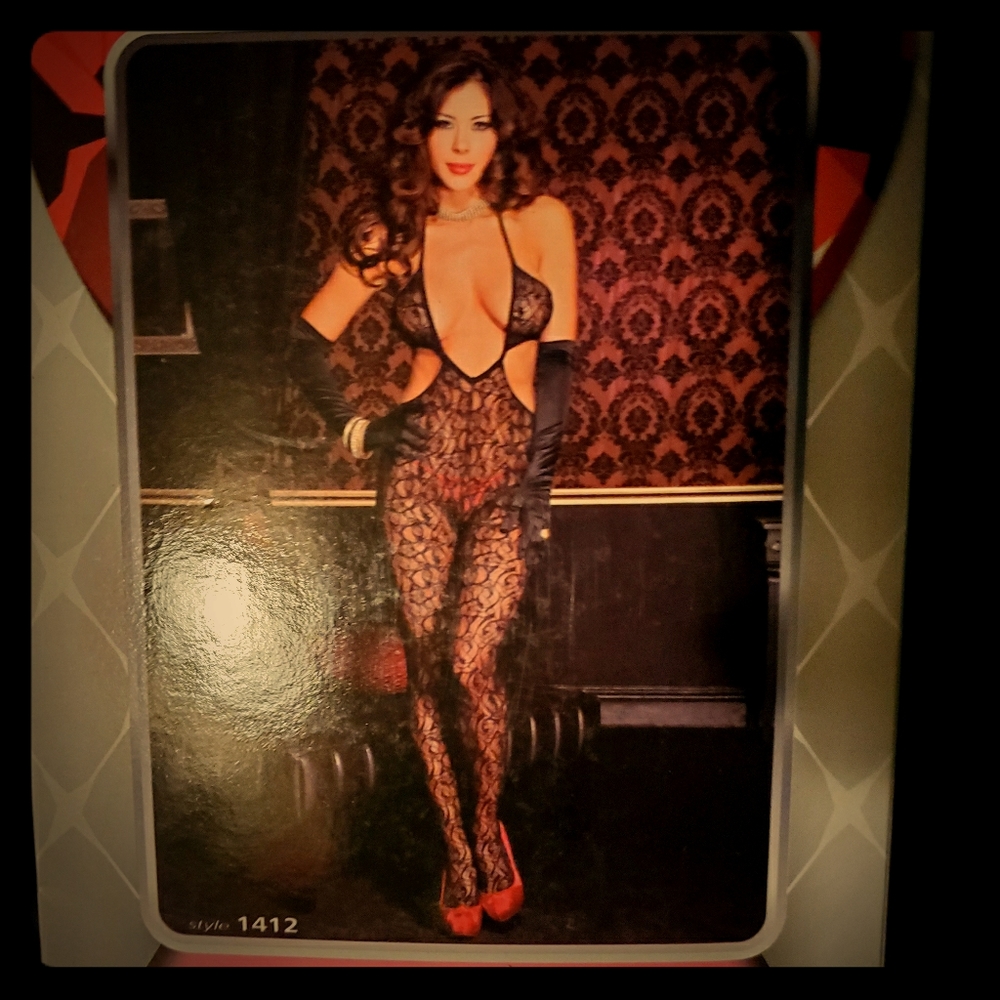 Lace Cut Out Body Stocking